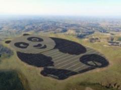 China has built a power plant in the form of panda