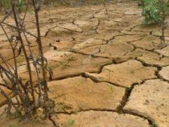 Global warming. Scientists warned of the fatal consequences