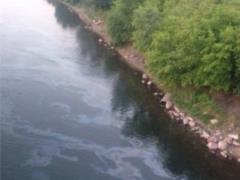 In Lviv, oil spilled into the river