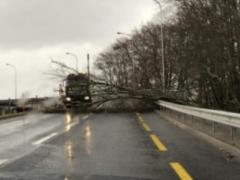 In Europe, the first victims of the storm  Eleanor 