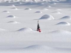 Because of the snowfall, a state of emergency was imposed in the south of New York State