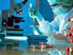 The network of blood vessels is made up of stem cells