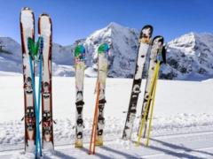 Ukraine became the leader of the European imports of skis