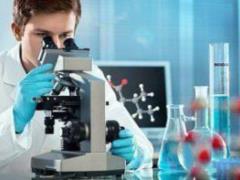 Interaction between bacteria promotes the development of antibiotic resistance