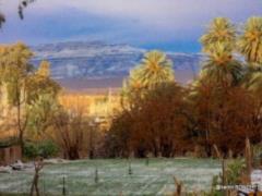 Snow in the Sahara for the second year in a row