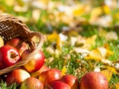 How will warm weather affect the spring harvest in Ukraine?