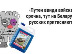 В Беларуси запретили российский стекломой