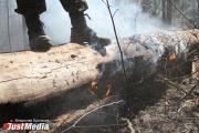 Уряд РФ заборонив садівникам палити траву і допускати заростання ділянок бур янами