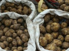 Russians will be left without potatoes