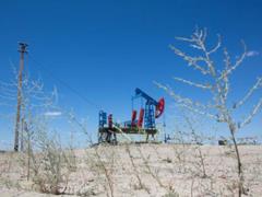 Kazakhstan decided to foil Russia s oil plans