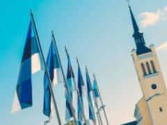 Estonia purchased nine drones to protect the border with Russia