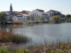 The eighth sugar factory is being prepared for launching in Vinnychyna