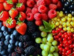 How to lose weight on a berry diet