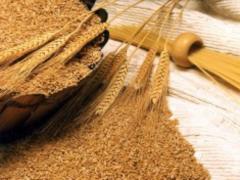 Ukraine has exhausted quotas for wheat and maize supplies to the European Union