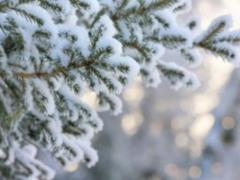 The warming and wet snow will come to Ukraine on Wednesday