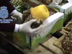 745 кг кокаина прятали в ананасах: находка в порту Лиссабона