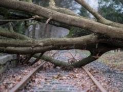 Hurricane Frederick killed ten people
