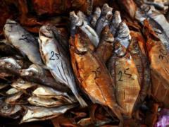 In the Kharkiv region found more than 20 kilos of dangerous fish