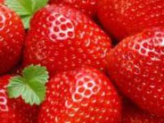 Strawberries and cucumbers against Alzheimer s disease
