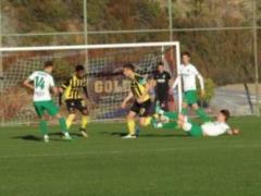 FC  Alexandria  could not beat the Bulgarian  Botev 