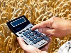 Украина в 2017 году собрала 61,3 миллиона тонн зерновых