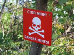 Scientists made an unexpected discovery concerning mine clearance