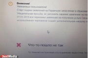 «Что-то пошло не так». Портал госуслуг снова не выдержал наплыва заявок от родителей первоклашек