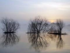 The State Emergency Management Service warns about the rise of water levels in the rivers of the Pripyat Basin