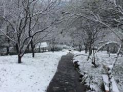Anomalous colds hit Taiwan, 53 people died
