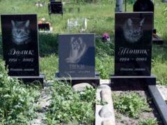 Cemetery and crematorium of domestic animals will be created in Lviv