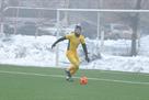 Pogorely - the player of Helios