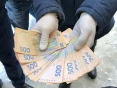 В Самборе на взятке попался глава ОТО - ВИДЕО,