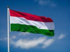 Budapest insists on the presence of the OSCE mission in Transcarpathia