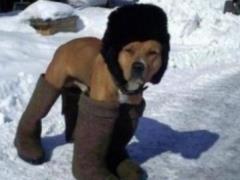 In Ukraine, it will be cold on Tuesday