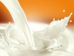 Through raw milk a person can pick up a large list of serious diseases - an expert