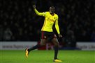 Tottenham will try to buy the leader of Watford