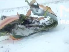 В Сети появилось видео с места падения пассажирского самолета Ан-148 в Подмосковье