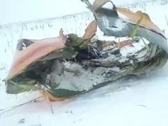 В крушении самолета в России никто не выжил