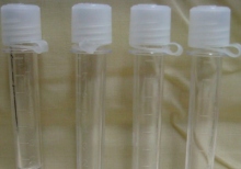 Hijackers of cerebrospinal fluid