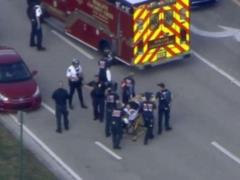 In Florida, shooting occurred in the school, 17 people were killed