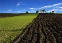 КС отказал в открытии дела об отмене моратория на продажу земли