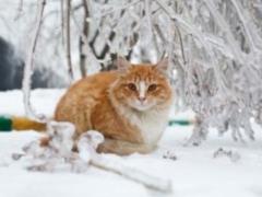 On Friday the weather in Ukraine will not change drastically
