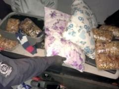 Пограничники изъяли у гражданина Турции 20 килограмм янтаря