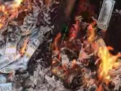 In the suburbs, burned  dollars  on the Cryptobacteria
