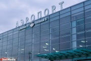 Екатеринбурженка обвинила сотрудников Кольцово в краже сыра и манго из багажа