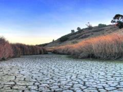 Changing of the climate. Scientists warned of gloomy prospects for Ukraine