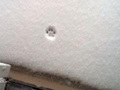 Weather worsening in Ukraine
