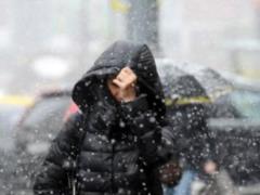 City authorities implore Kharkiv residents not to park cars on the roadside