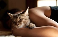 Scientists have called, what is useful for a person purring cats