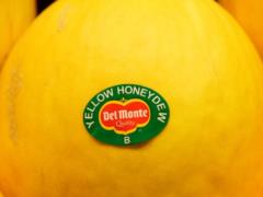 In Australia, three people died because of infected melons
